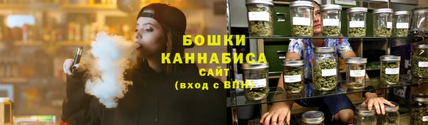 гидра Покачи