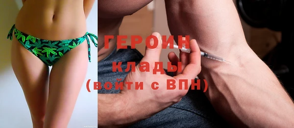 гидра Покачи