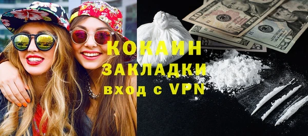 сатива Гатчина