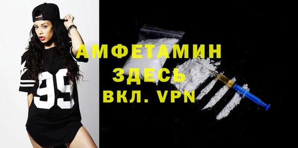гидра Покачи