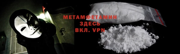 гидра Покачи
