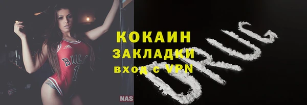 гидра Покачи