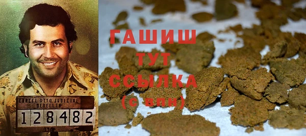 гидра Покачи