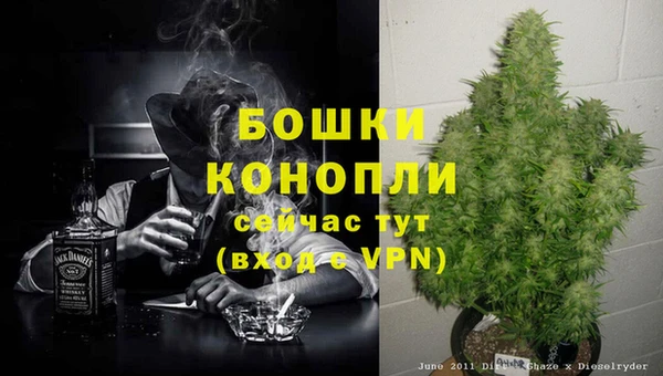 гидра Покачи