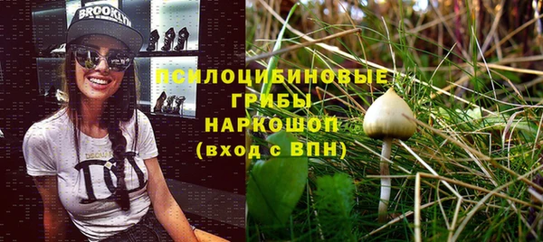 гидра Покачи