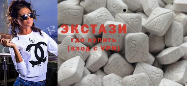 гидра Покачи