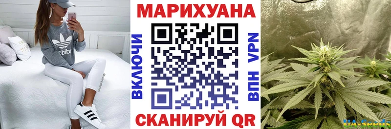 Бошки Шишки Amnesia  Себеж 